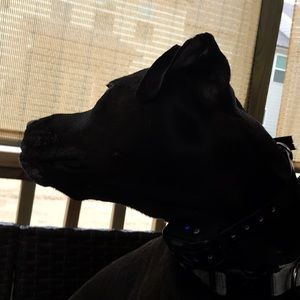 Meet your Posher, Christy